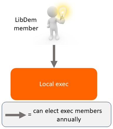 Diagram of LibDem local party structure